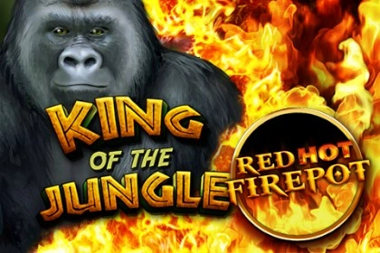 08306 king of the jungle red hot firepot