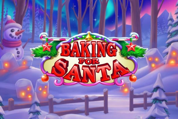 25257 baking for santa